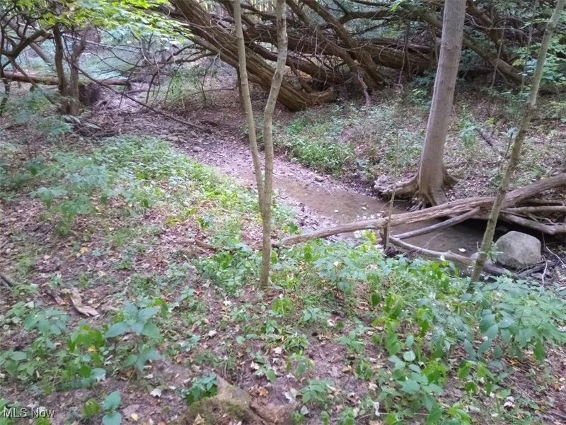 8123 Vandemark Road, Lodi, OH 44254 Photo 6