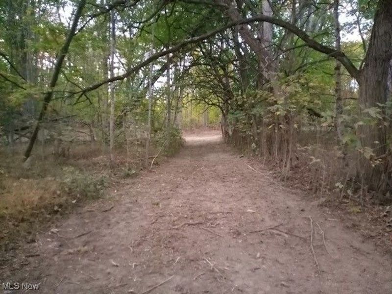 8123 Vandemark Road, Lodi, OH 44254 Photo 7