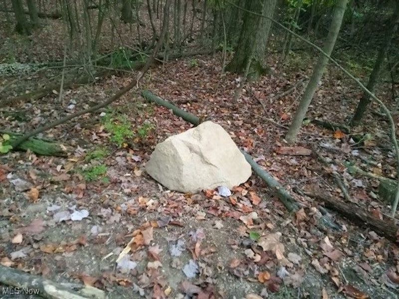 8123 Vandemark Road, Lodi, OH 44254 Photo 8