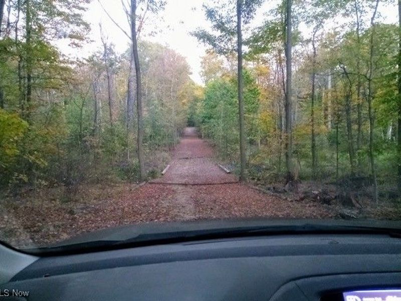 8123 Vandemark Road, Lodi, OH 44254 Photo 9