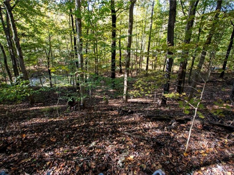 2782 Tanglewood Drive, Wooster, OH 44691 Photo 15