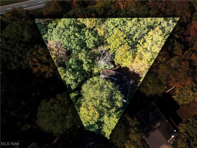 2782 Tanglewood Drive, Wooster, OH 44691 Photo 3