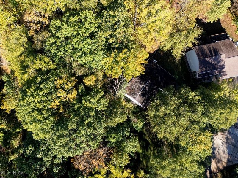 2782 Tanglewood Drive, Wooster, OH 44691 Photo 4