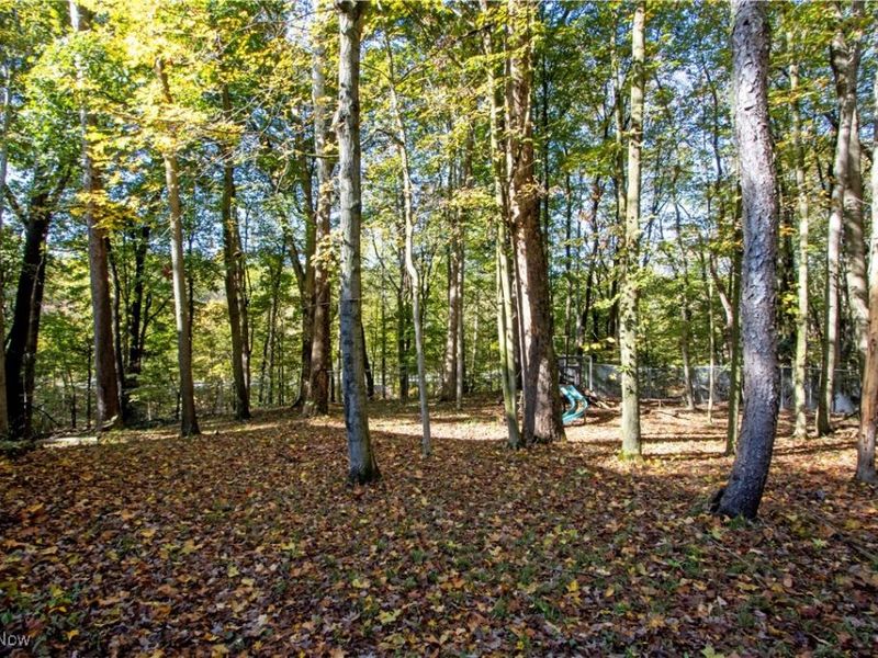 2782 Tanglewood Drive, Wooster, OH 44691 Photo 41