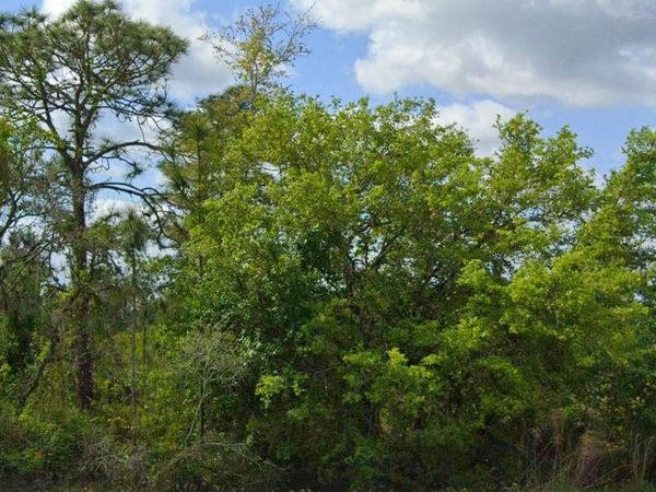 486 KULWICKI DRIVE, VENUS, FL 33960