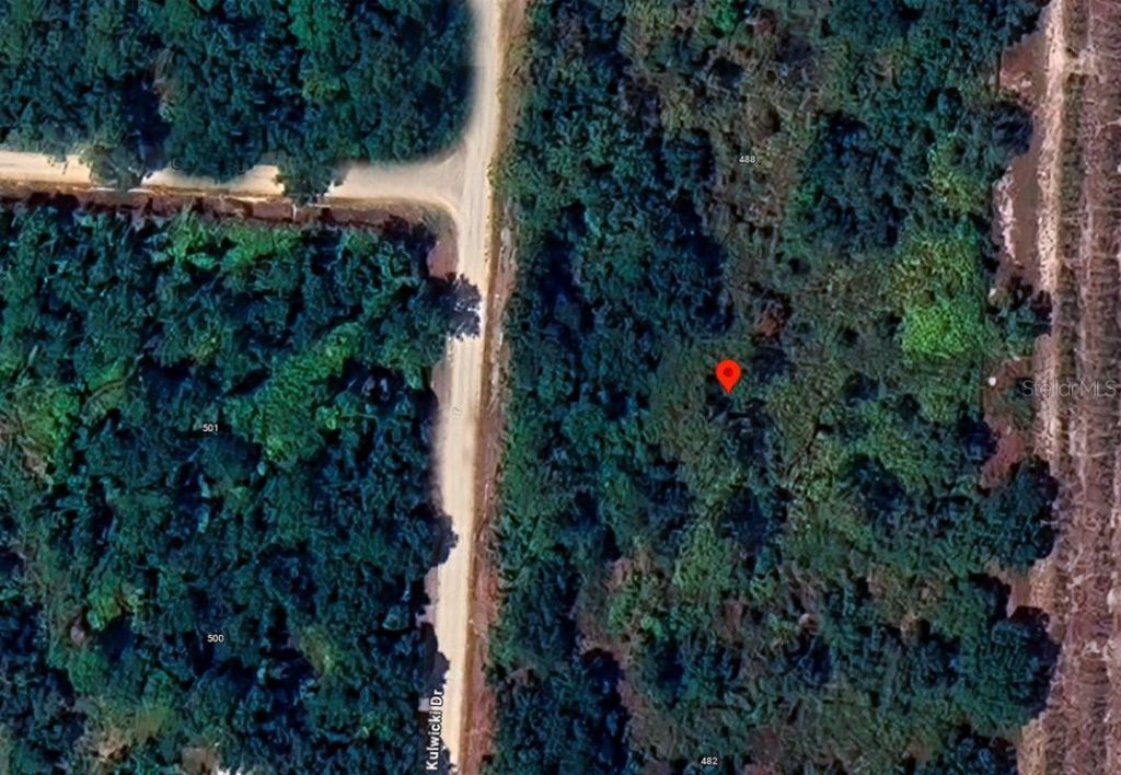 486 Kulwicki Drive, Venus, FL 33960 Photo