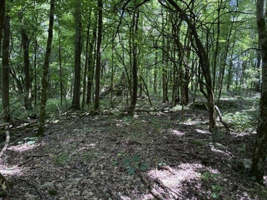 Property Image 52
