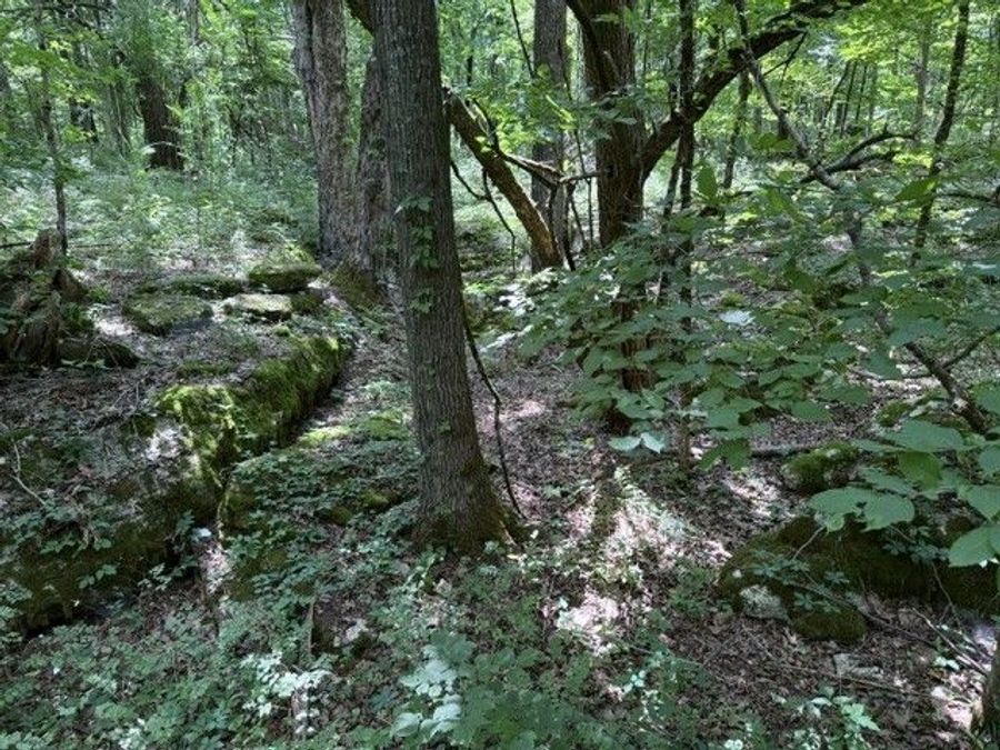Property Image 56