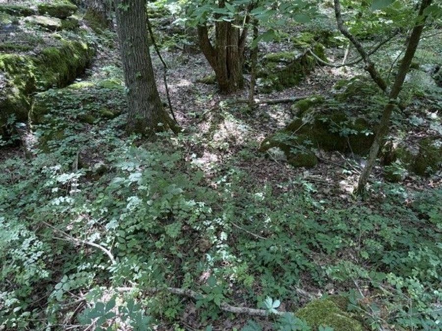 Property Image 57