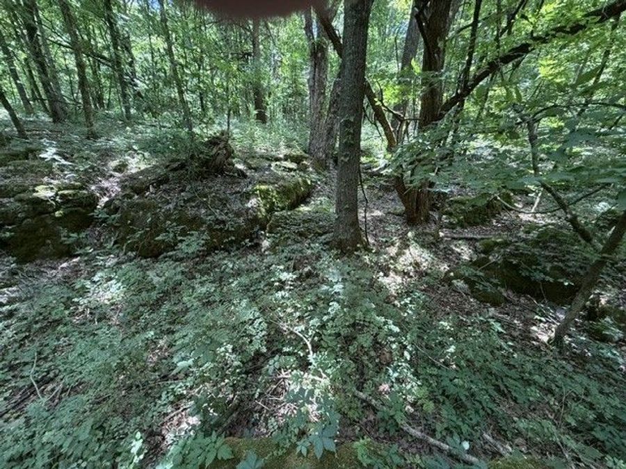 Property Image 58
