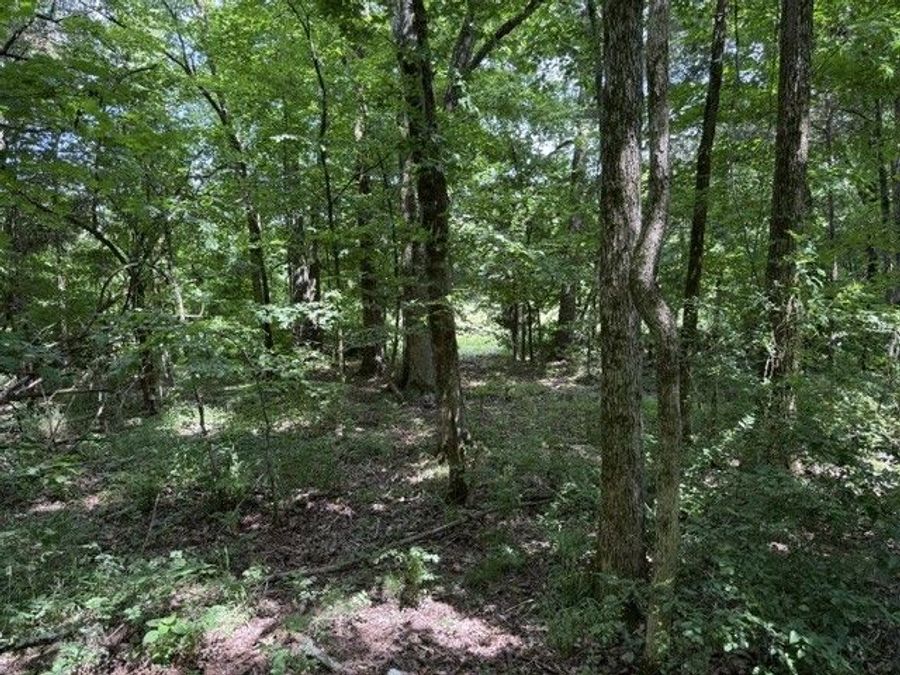 Property Image 61