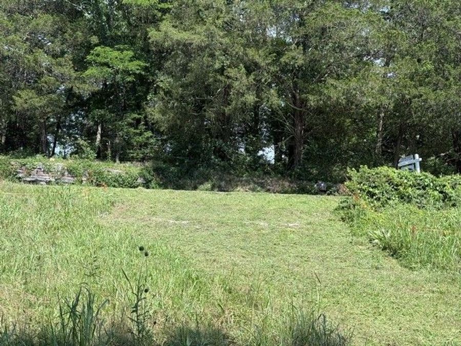 Property Image 67