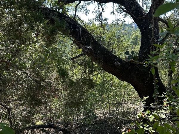 8503 Talon CIR, Lago Vista, TX 78645