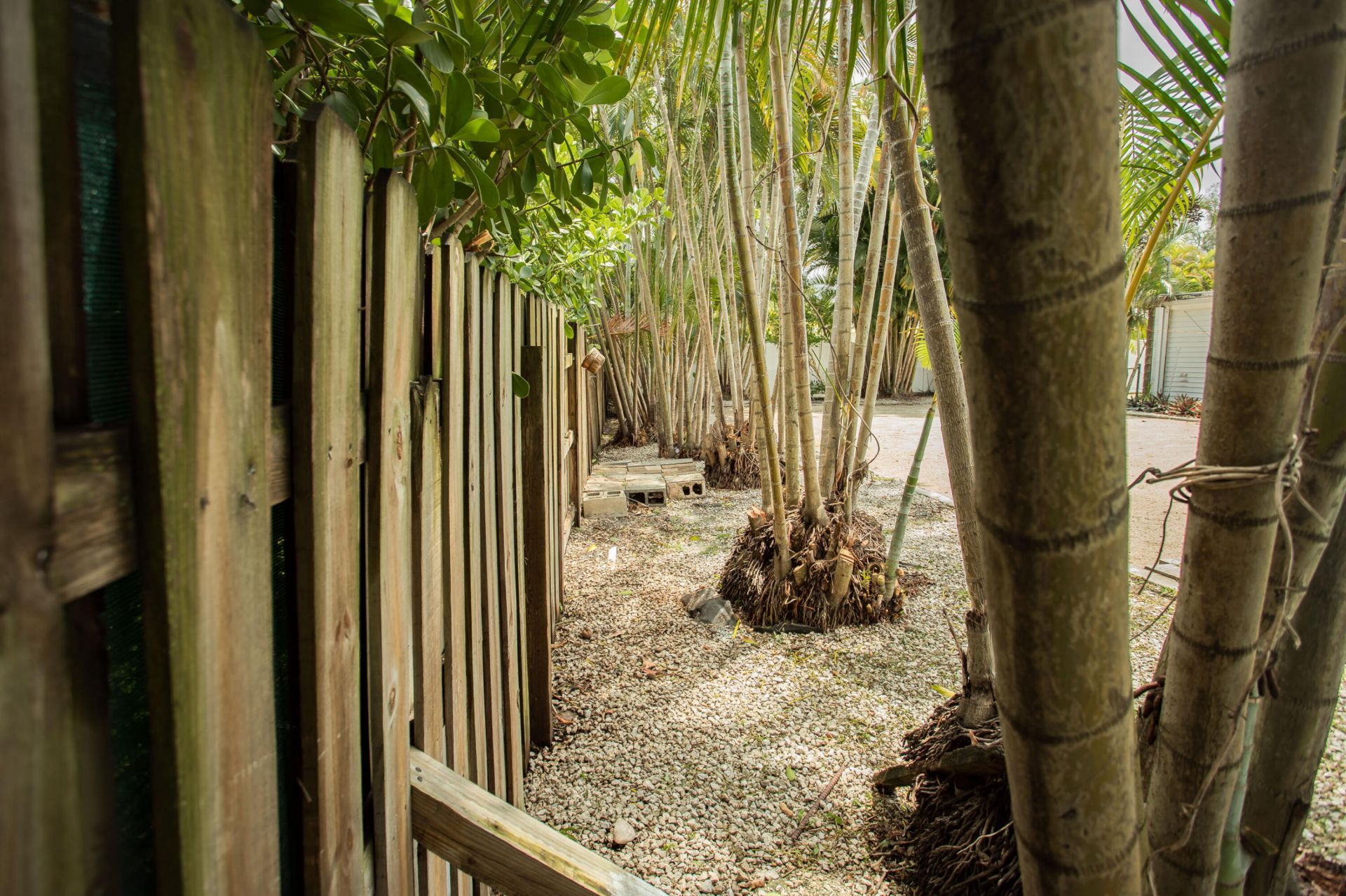 7306 Clarke Road, Lake Clarke Shores, FL 33406 Photo