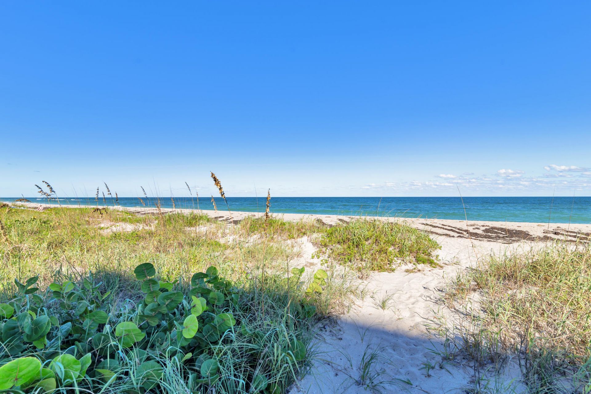 2773 S Ocean Boulevard, Unit Ph5, Palm Beach, FL 33480 Photo