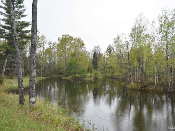 TBD BARTOSZ 52 Lane, Harris Twp, MI 49873