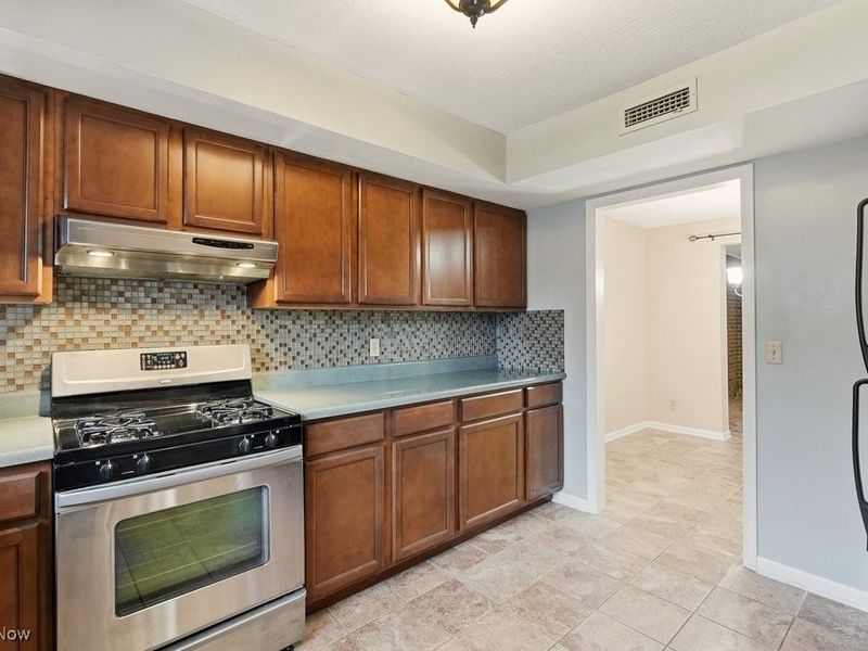 6290 Greenwood, Unit 302, Northfield, OH 44067 Photo 4