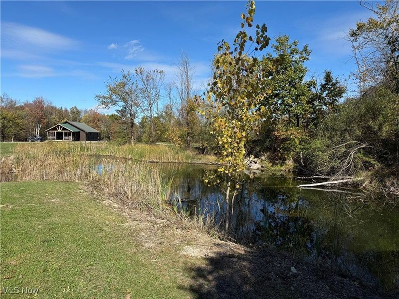 353 Township Road 448a, Bloomingdale, OH 43910 Photo 4