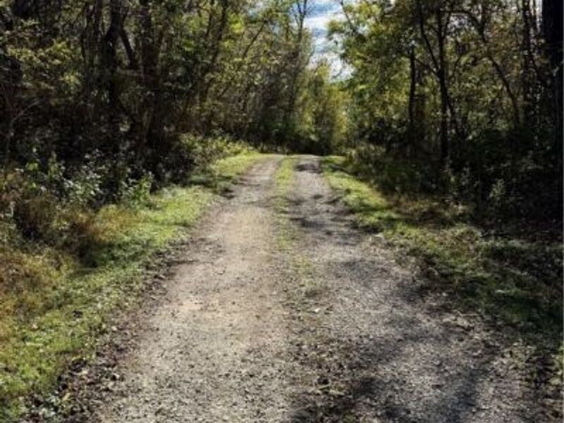 353 Township Road 448a, Bloomingdale, OH 43910 Photo 49