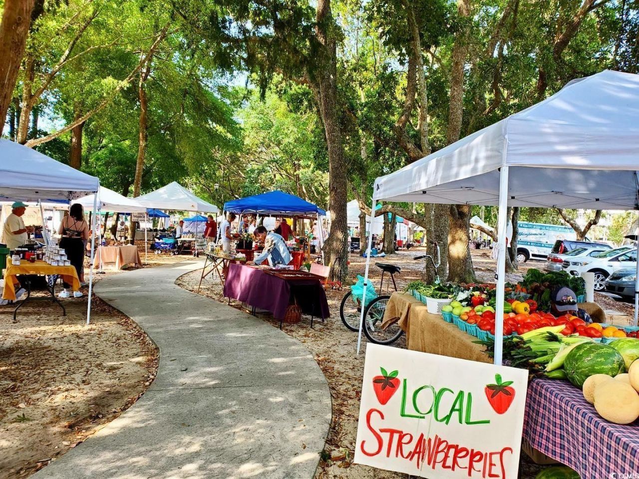 205 Ocean Commons Dr. Photo 38