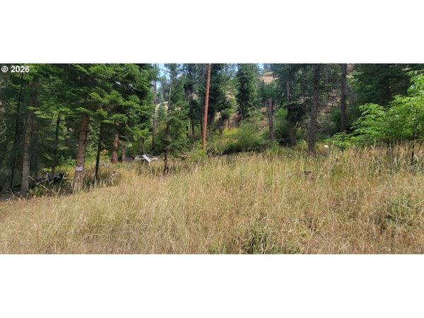River Canyon RD, Unit TL 900, Imnaha, OR 97842