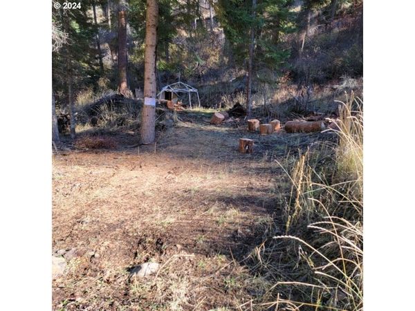 River Canyon RD, Unit TL 900, Imnaha, OR 97842
