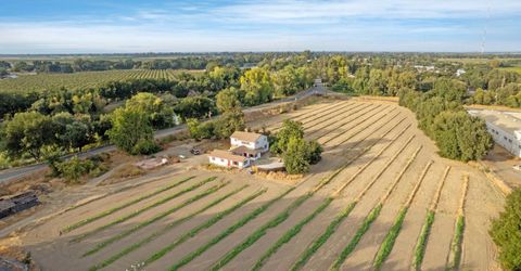 14371 Race Track Road, Walnut Grove, CA 95641 Photo