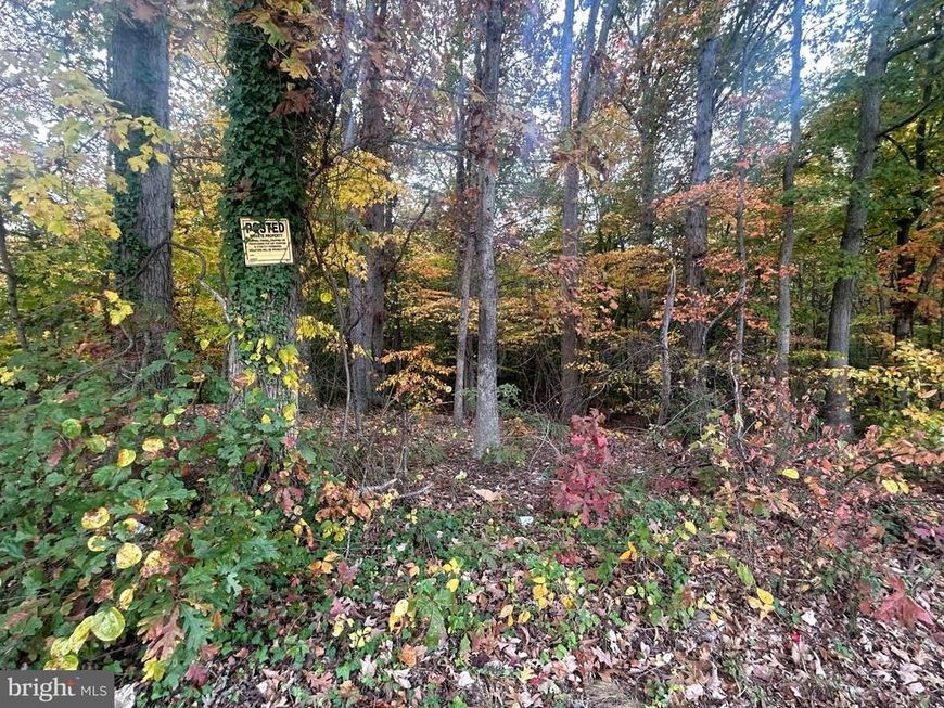 Bock Road, Fort Washington, MD 20744 Main Photo