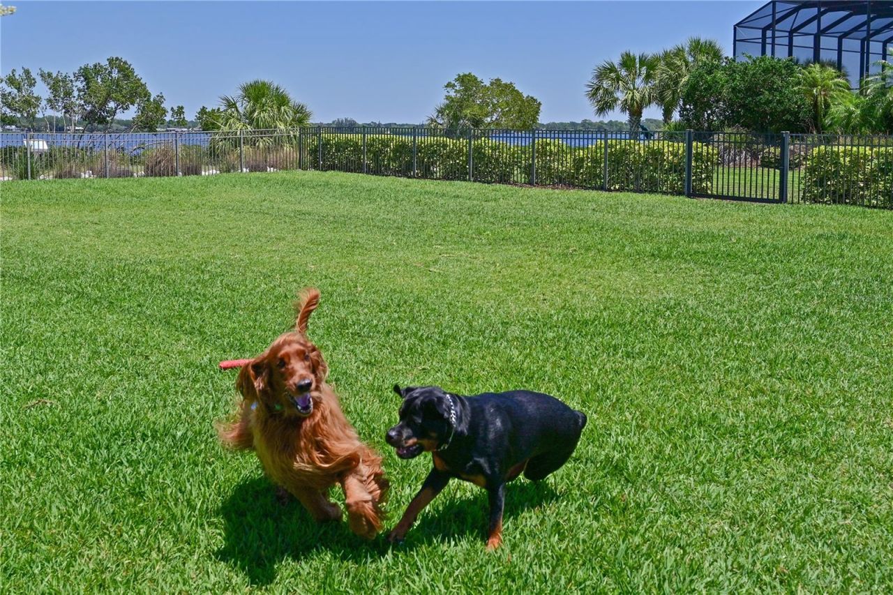 931 Mangrove Edge Court, Bradenton, FL 34208 Photo