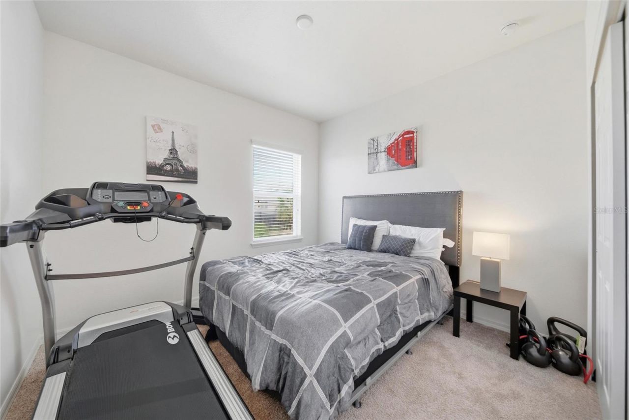 8015 Marbella Creek Avenue, Tampa, FL 33625 Photo