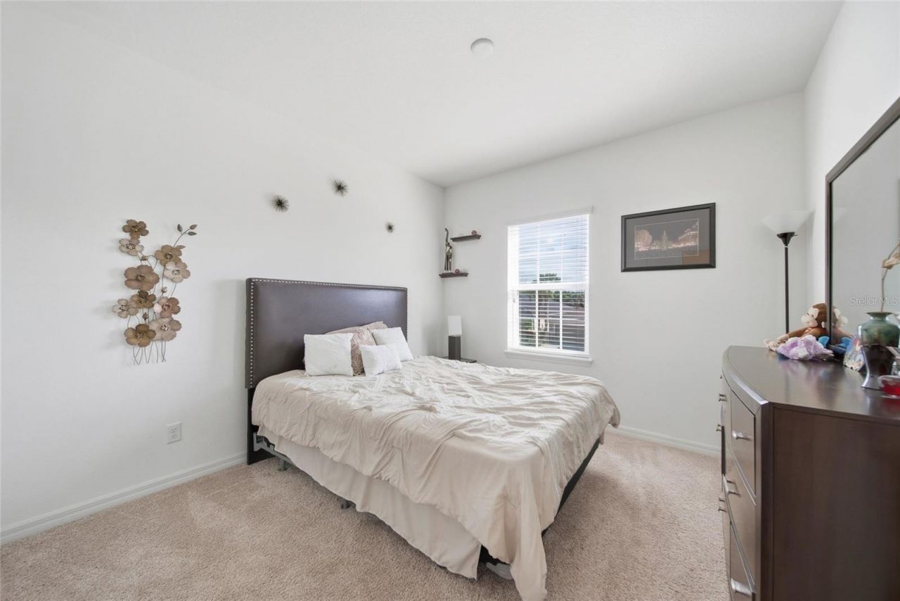 8015 Marbella Creek Avenue, Tampa, FL 33625 Photo