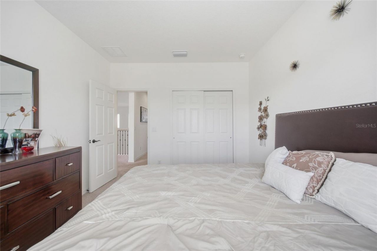 8015 Marbella Creek Avenue, Tampa, FL 33625 Photo