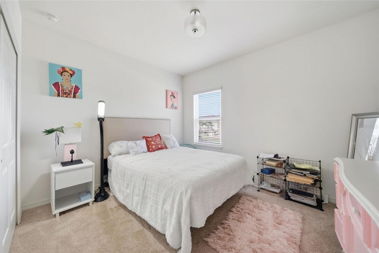 8015 Marbella Creek Avenue, Tampa, FL 33625 Photo