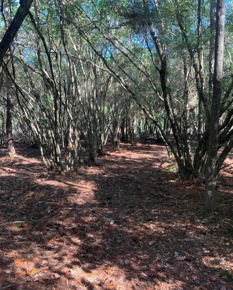 21426 NE 51st Avenue, Earleton, FL 32631 Photo