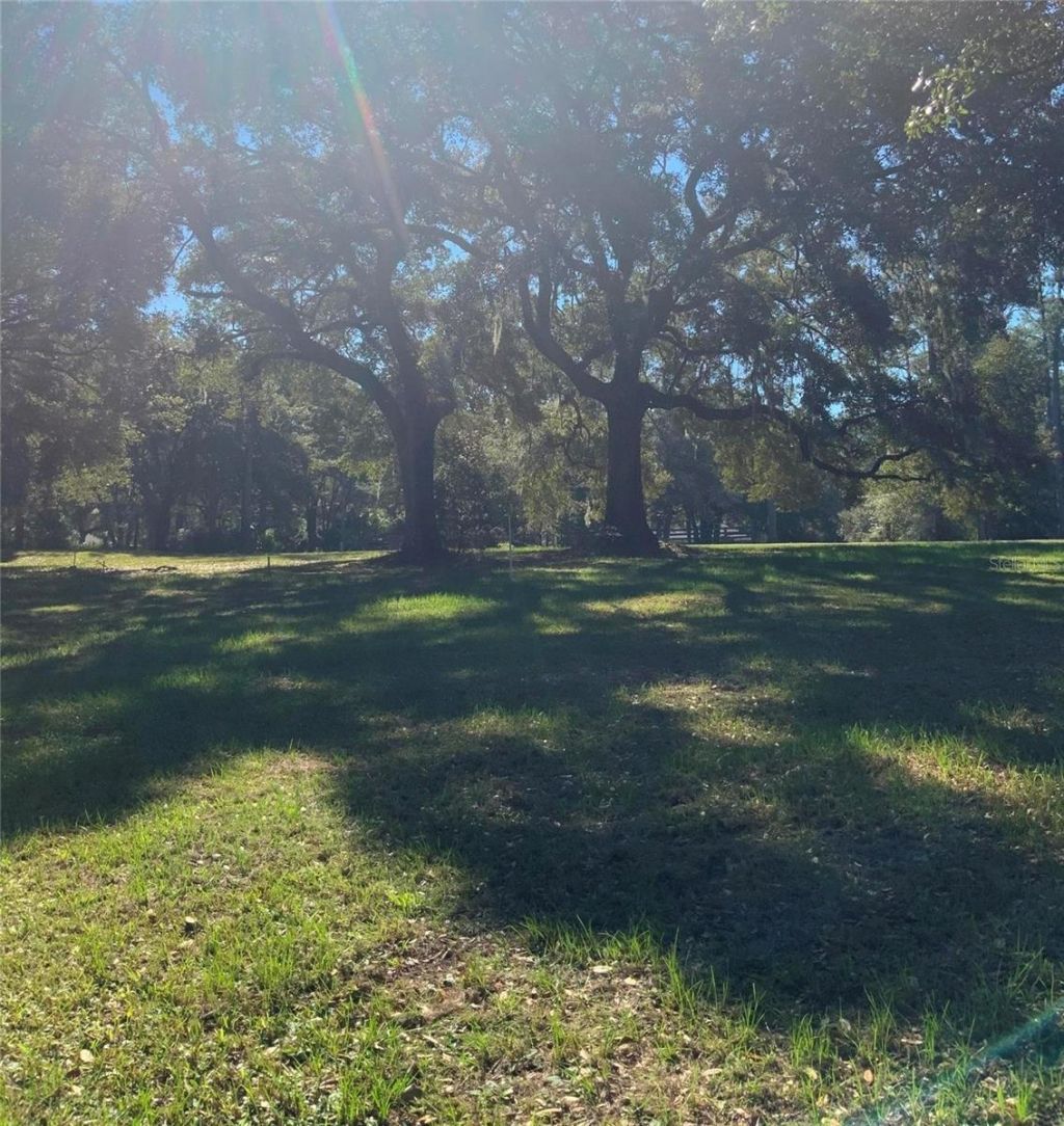 21426 NE 51st Avenue, Earleton, FL 32631 Photo