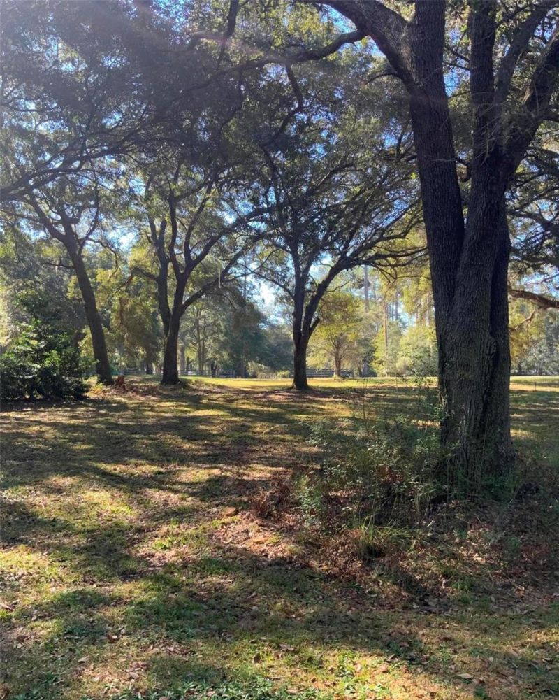 21426 NE 51st Avenue, Earleton, FL 32631 Photo