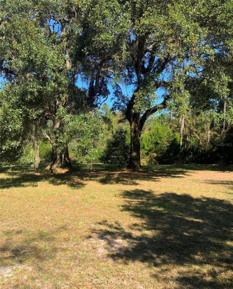 21426 NE 51st Avenue, Earleton, FL 32631 Photo