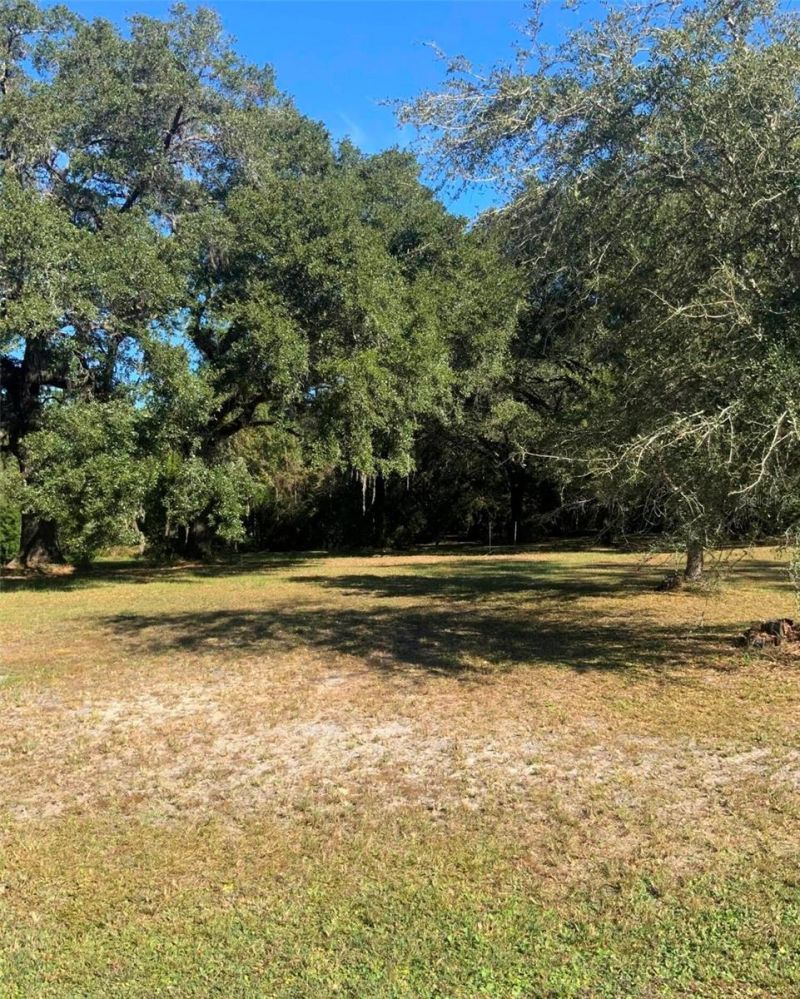 21426 NE 51st Avenue, Earleton, FL 32631 Photo