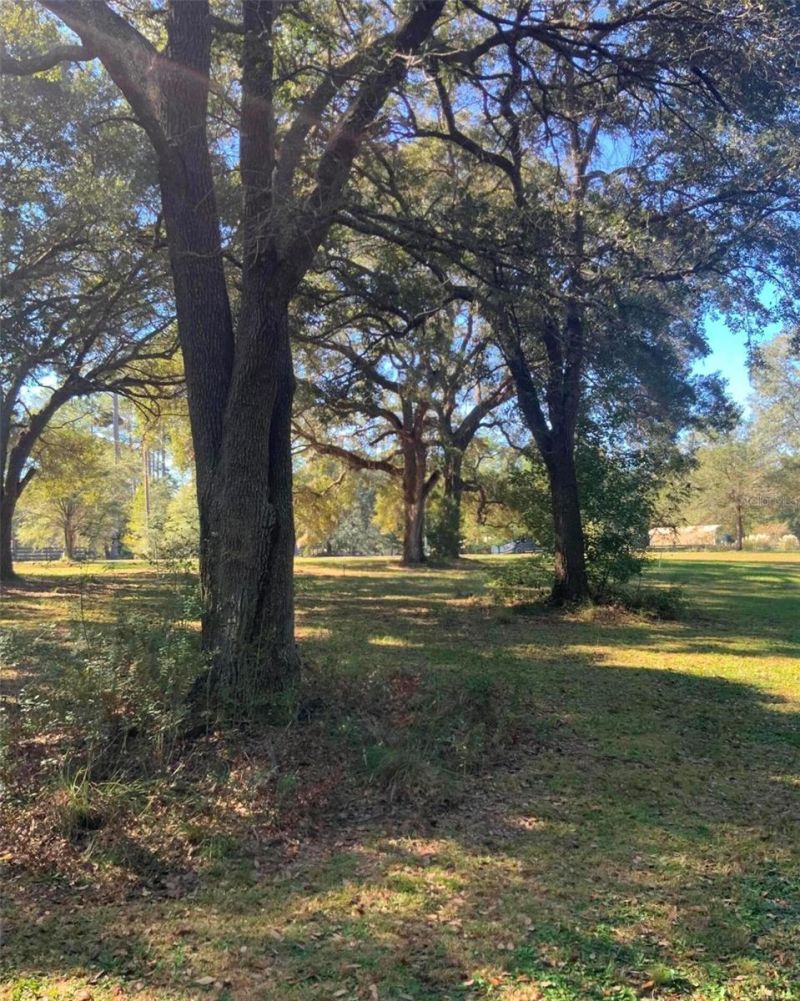 21426 NE 51st Avenue, Earleton, FL 32631 Photo