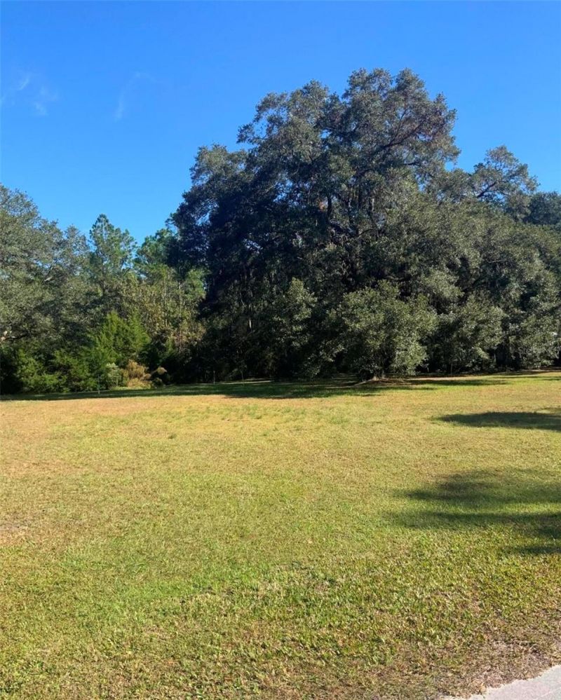 21426 NE 51st Avenue, Earleton, FL 32631 Photo