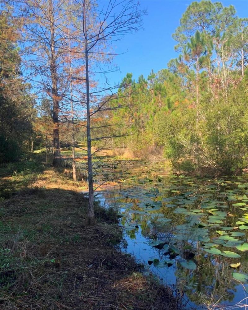 21426 NE 51st Avenue, Earleton, FL 32631 Photo