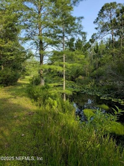 21426 NE 51st Avenue, Earleton, FL 32631 Photo