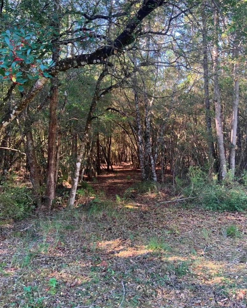 21426 NE 51st Avenue, Earleton, FL 32631 Photo