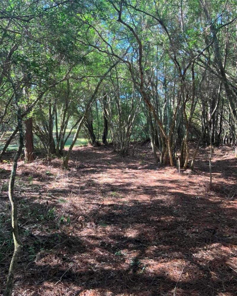 21426 NE 51st Avenue, Earleton, FL 32631 Photo