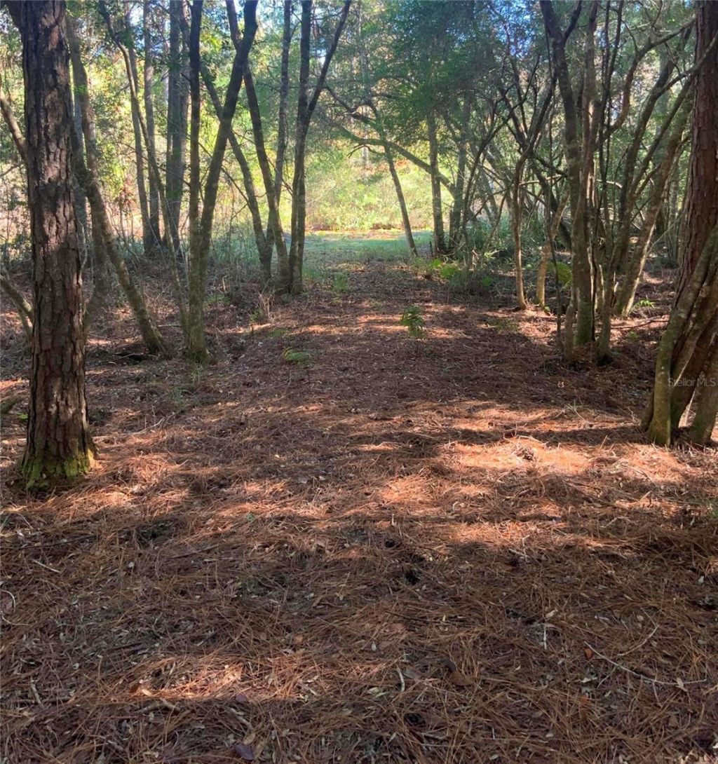 21426 NE 51st Avenue, Earleton, FL 32631 Photo