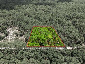 Lot 02 SW 175TH TERRACE Dunnellon, FL 34432