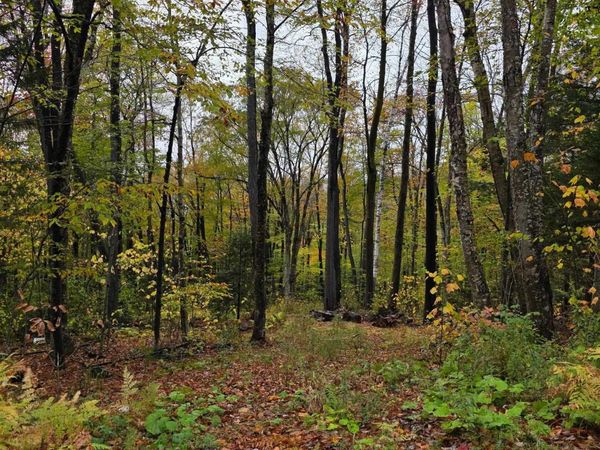 00 Heartwellville View Road, Unit 64/65/66/69/70, Readsboro, VT 05350