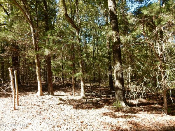 Lot 1 N Crockett Road, Senatobia, MS 38668