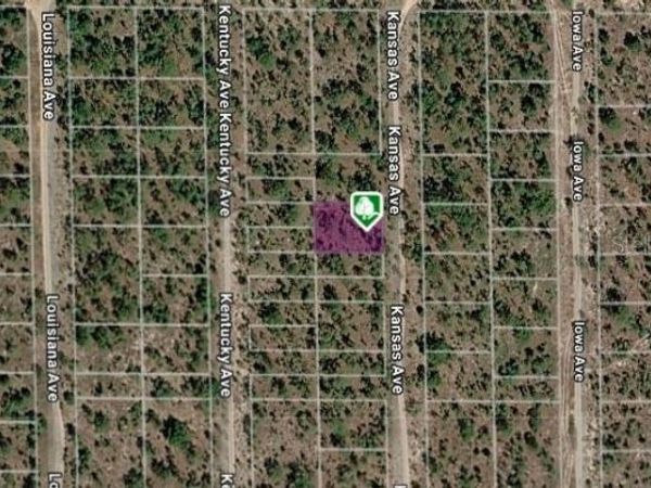 LOT 8 AND 9 KANSAS AVENUE, HAWTHORNE, FL 32640