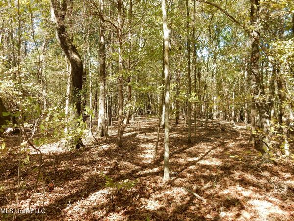 Lot 2 N Crockett Road, Senatobia, MS 38668